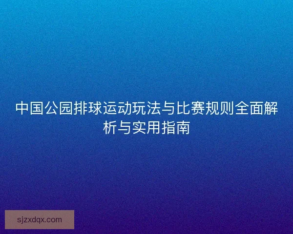 中国公园排球运动玩法与比赛规则全面解析与实用指南